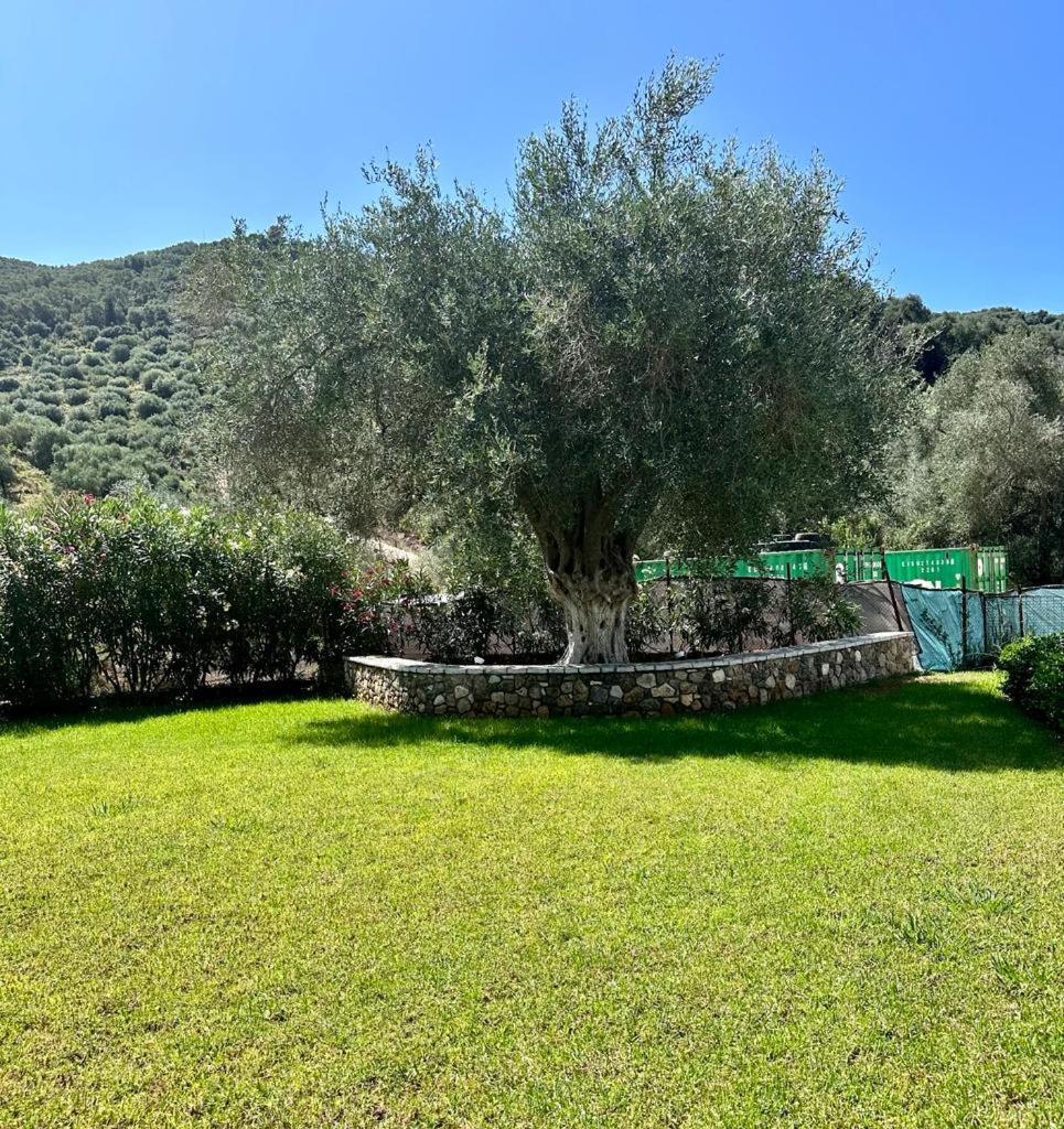 Pargaland Studio No4 פארגה מראה חיצוני תמונה